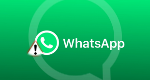 Whatsapp supporto
